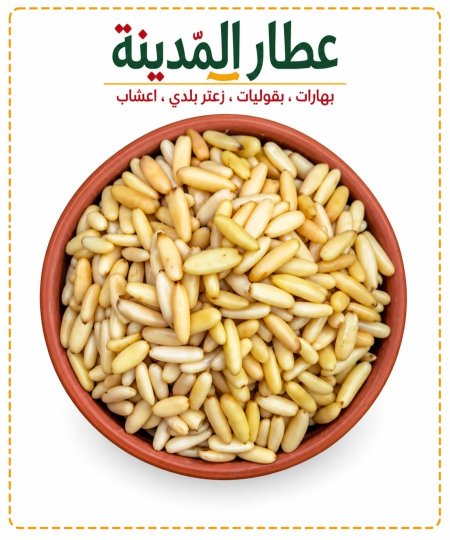 صنوبر باكستاني طويل